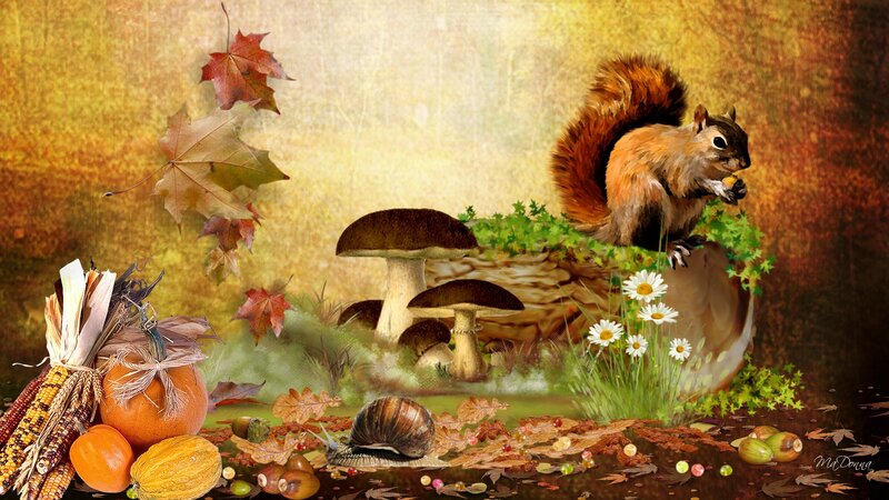 Squirrel Eating Acorn — Brown, Autumnal