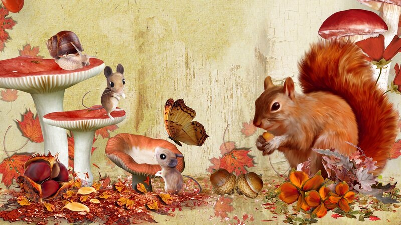 Squirrel Eating Acorn — Brown, Peaceful