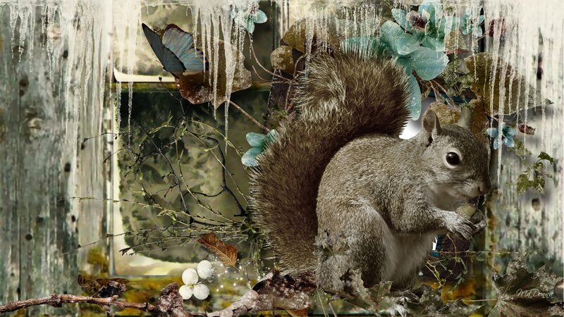 Squirrel Eating Acorn — Brown