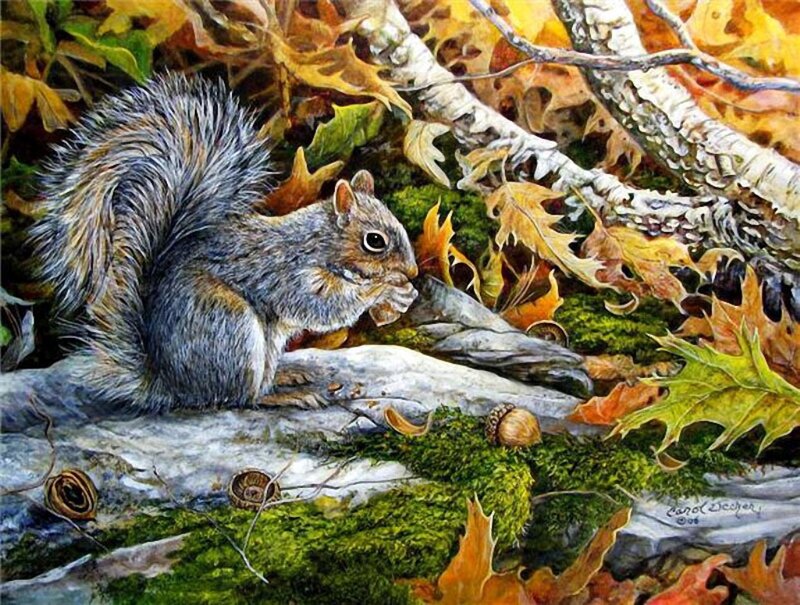 Squirrel Eating Acorn — Green, Serene