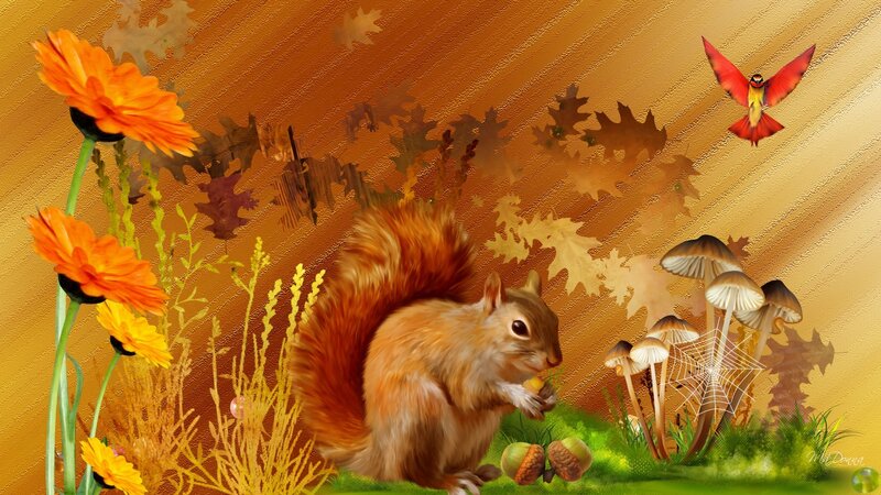 Squirrel Eating Acorn