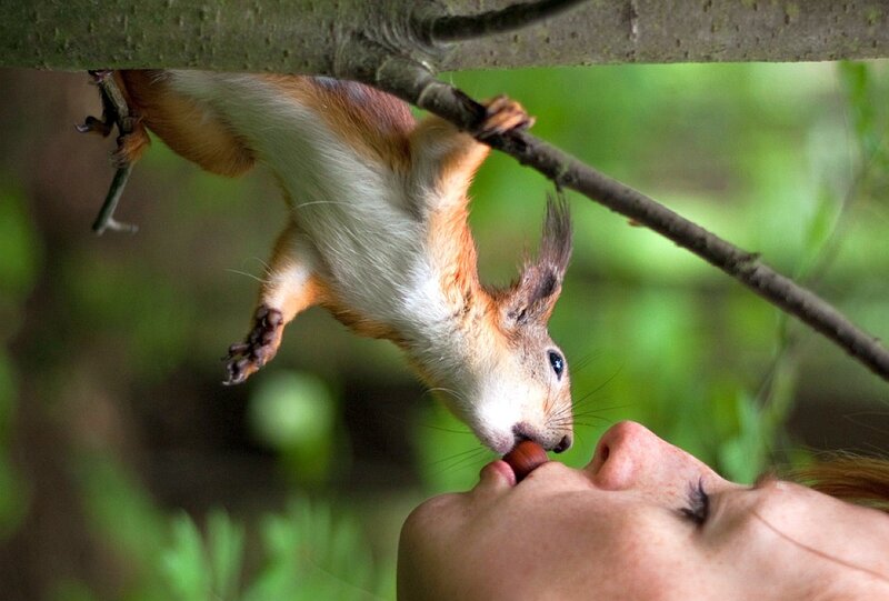 squirrel eating from person's hand