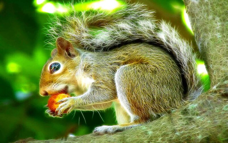 Squirrel Eating Fruit — Green, Vibrant