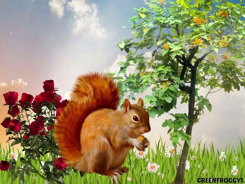 Squirrel Eating Nut — Green, Serene
