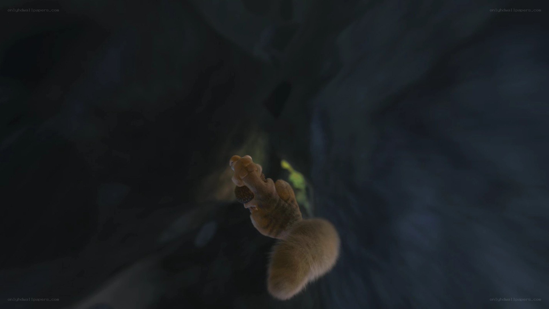 squirrel falling in dark tunnel