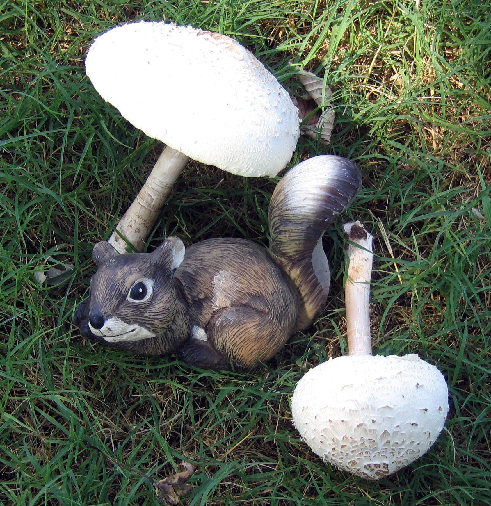 Squirrel figurine with mushrooms
