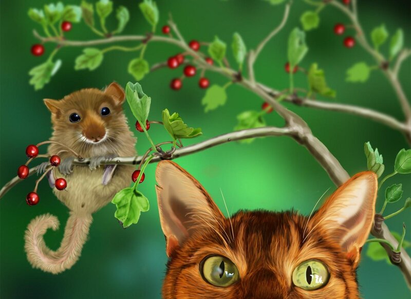 Squirrel Glider on Branch