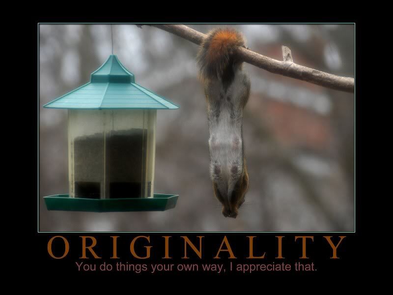 Squirrel Hanging Upside Down — Brown