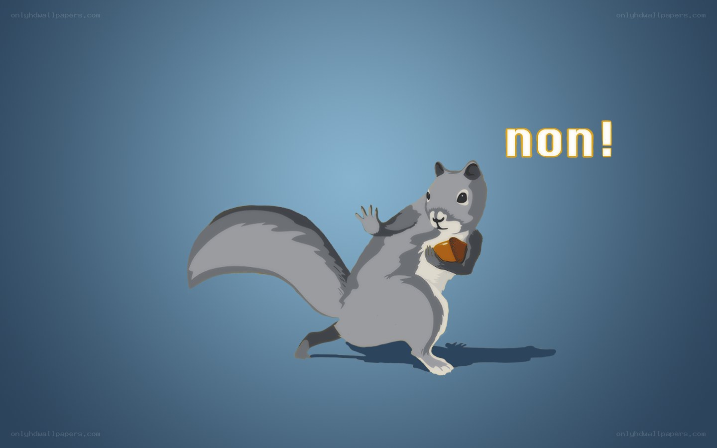 squirrel holding acorn saying non