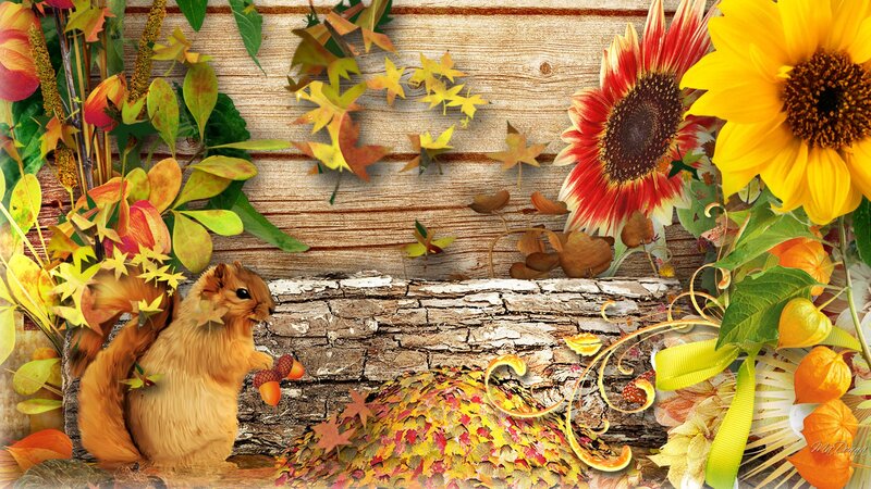 Squirrel Holding Acorn — Yellow, Autumnal