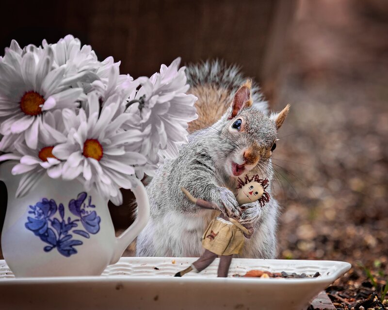 Squirrel Holding Doll