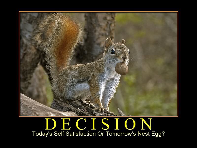 Squirrel Holding Nut