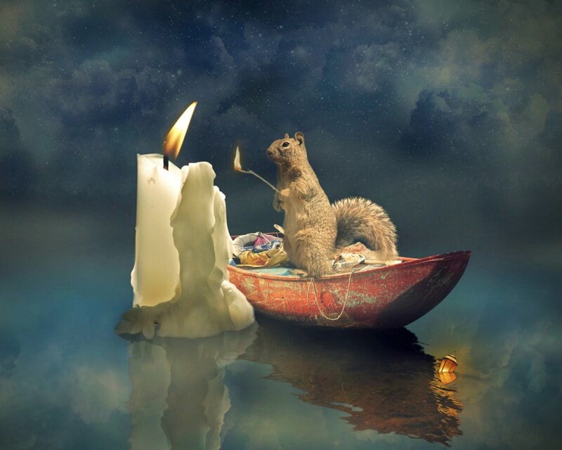 Squirrel in a Boat