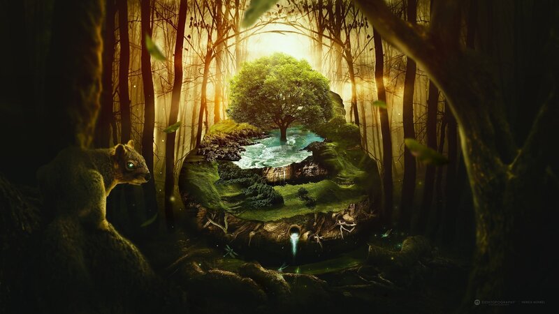 Squirrel in Forest — Green, Serene, Morning, Digital Art