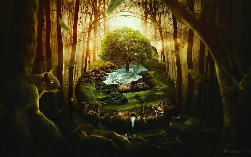 Squirrel in Forest — Green, Serene, Morning