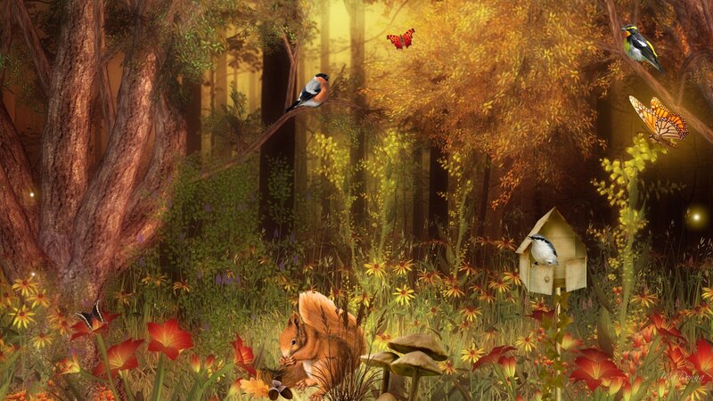 Squirrel in Forest — Yellow