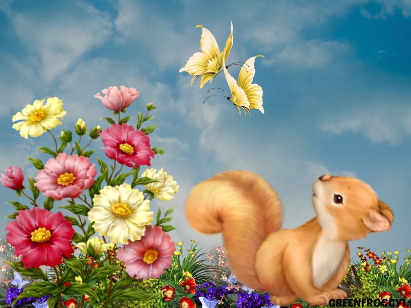 Squirrel in Garden — Blue