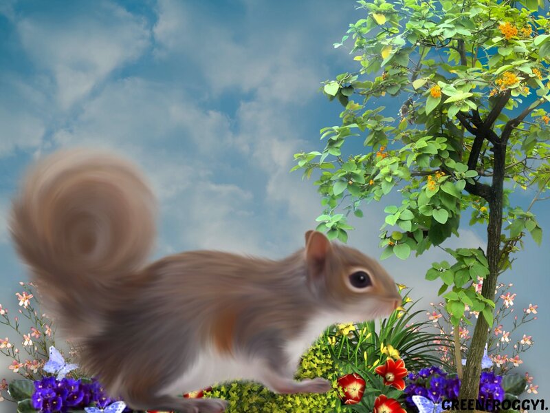 Squirrel in Garden — Green