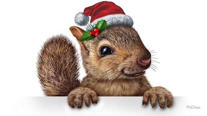 Squirrel in Santa Hat — Brown