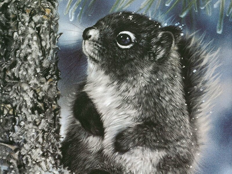 squirrel in snowy forest