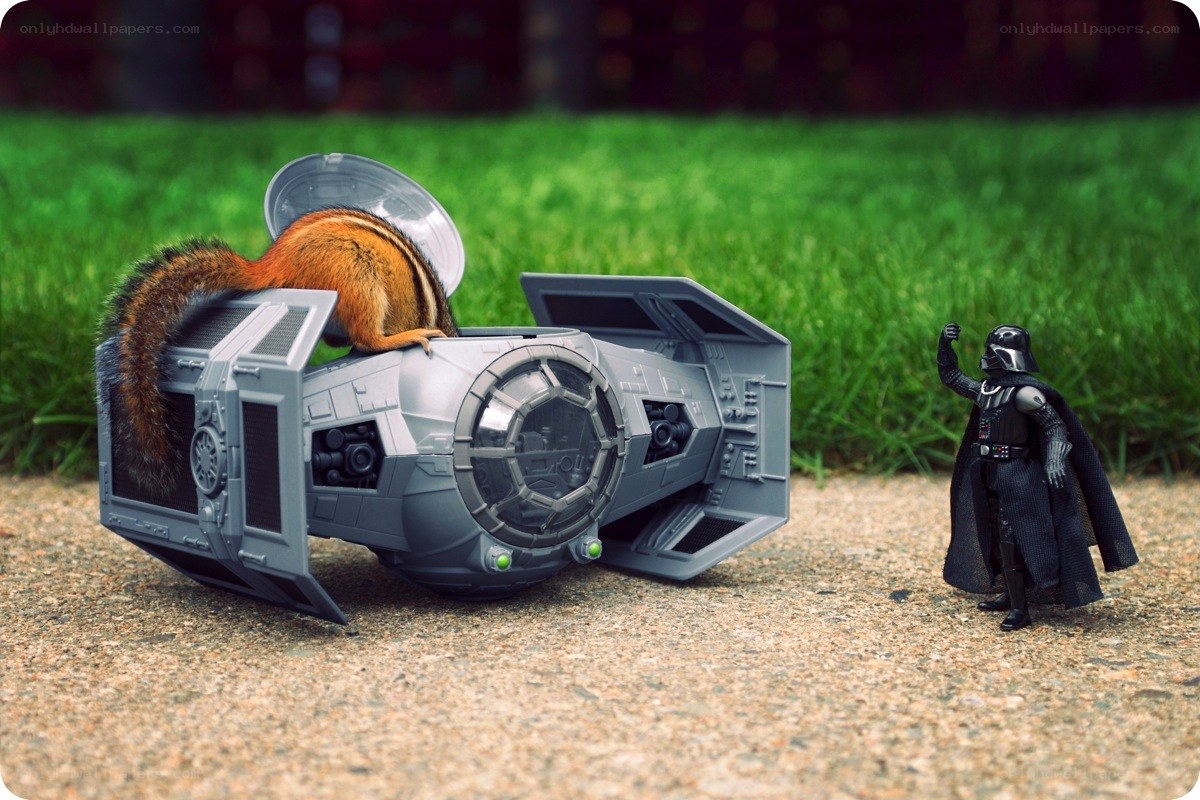squirrel in star wars scene