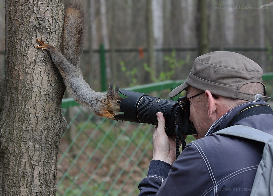 Squirrel investigates camera lens