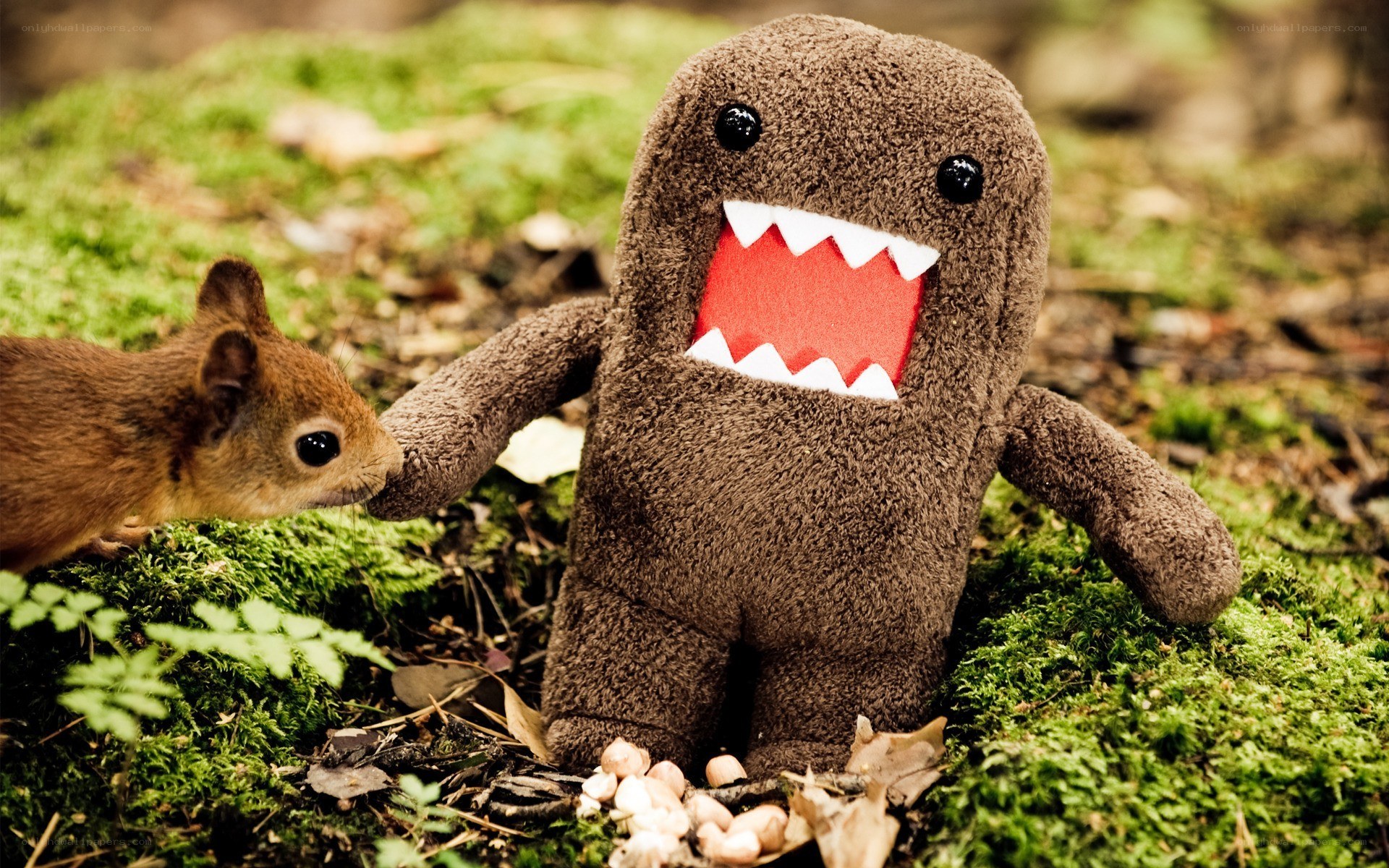 Squirrel meets Domo plush