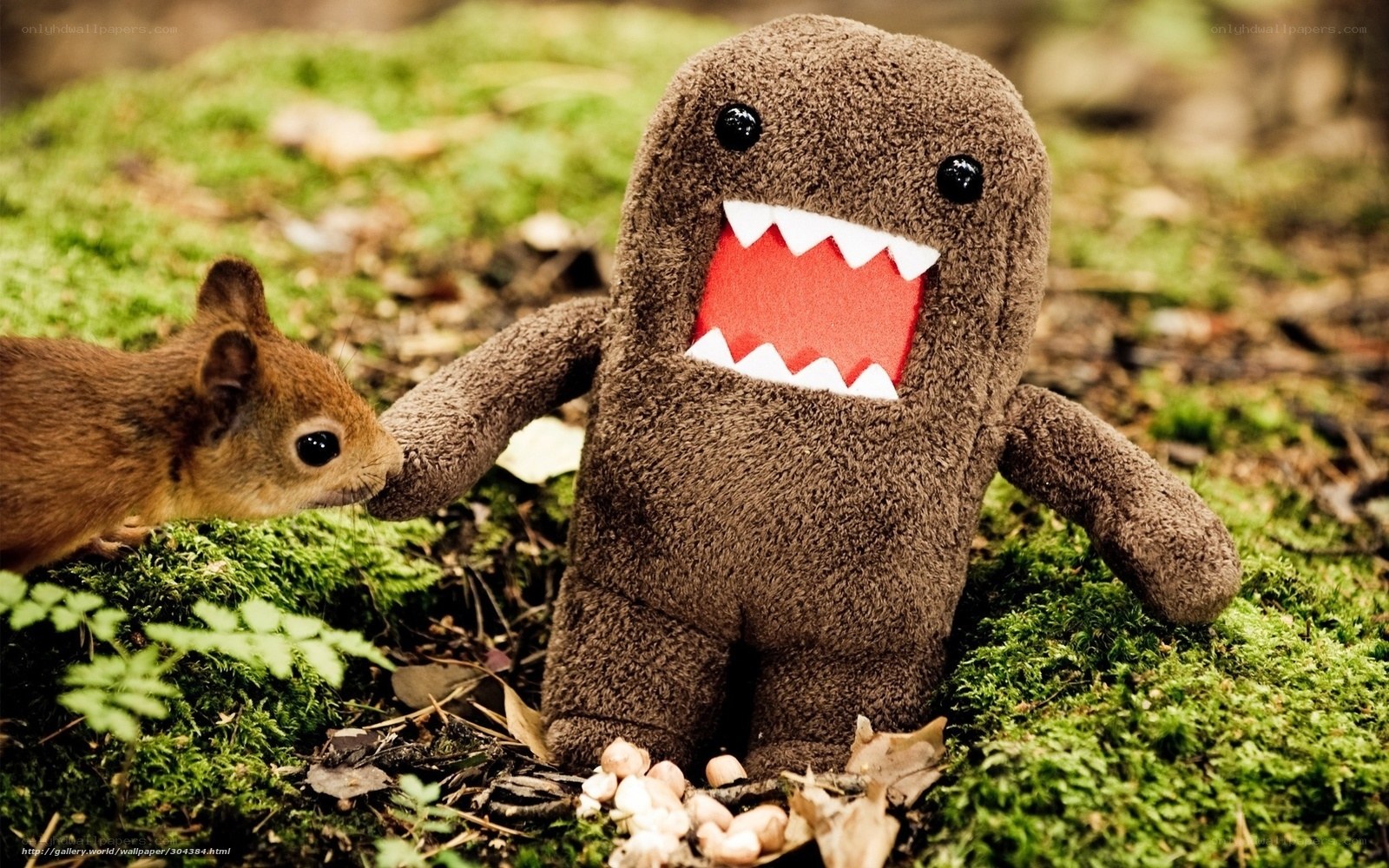 Squirrel meets Domo plush