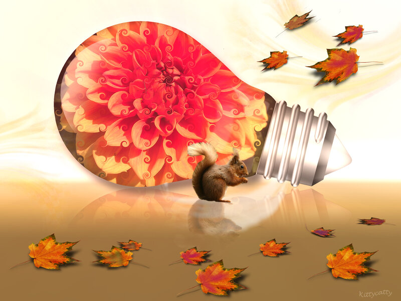 Squirrel Near Light Bulb