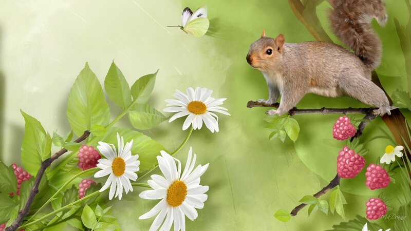 Squirrel on a Branch — Green