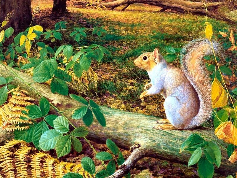 Squirrel on a Log — Green