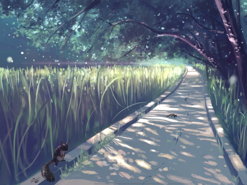 Squirrel on a Path