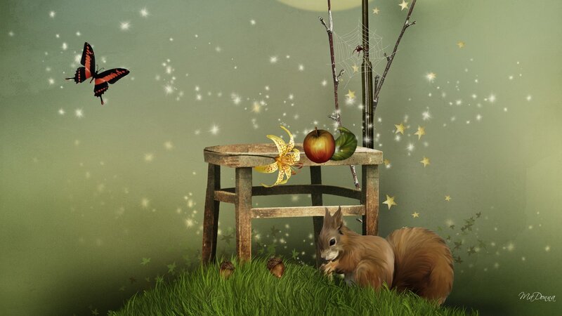 Squirrel on a Stool