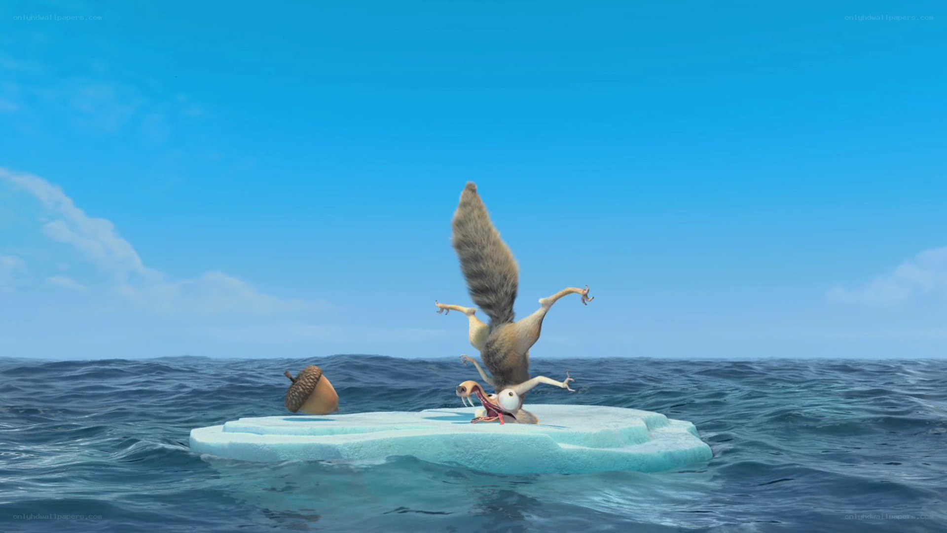 Squirrel on an ice floe
