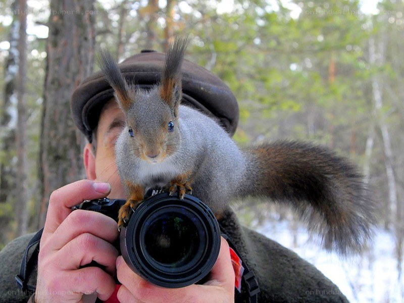 Squirrel on camera lens