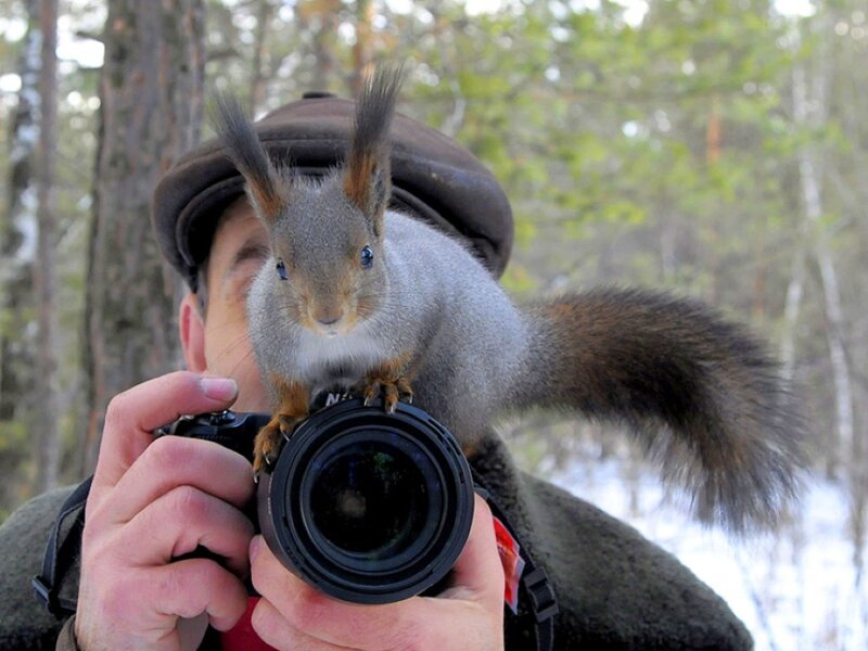 Squirrel on camera lens