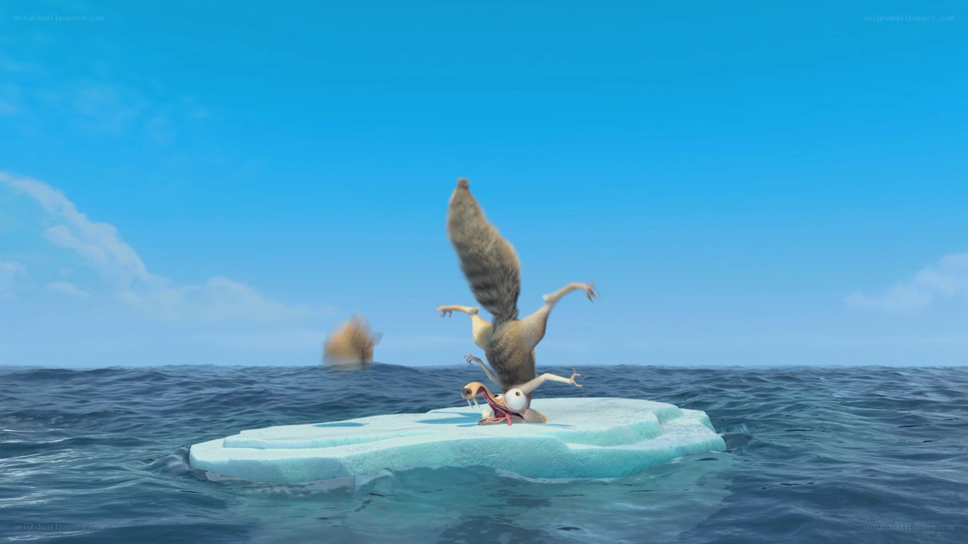 squirrel on ice floe