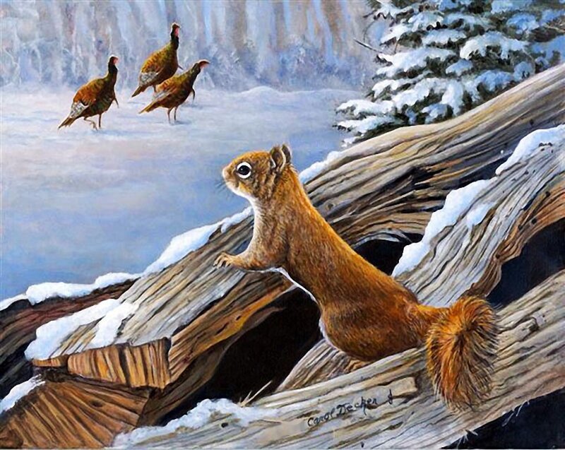 Squirrel on Log — Brown