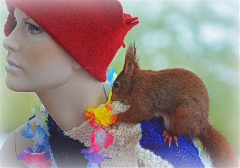 Squirrel on Mannequin