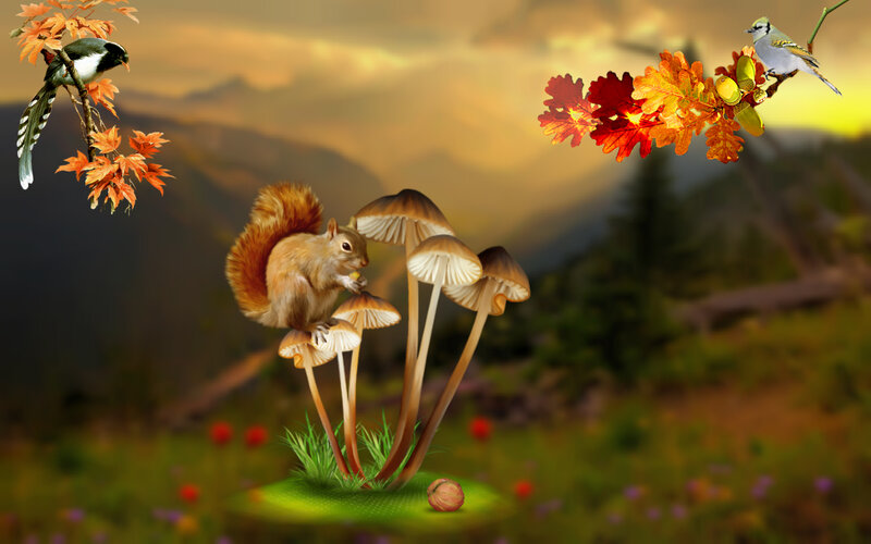 Squirrel on Mushrooms — Green