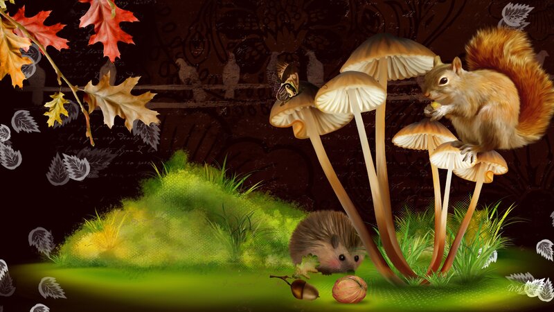 Squirrel on Mushrooms
