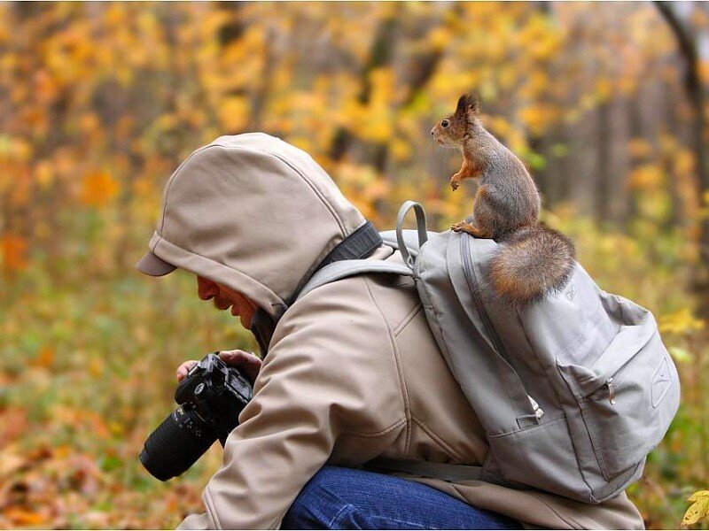 Squirrel on photographer's backpack