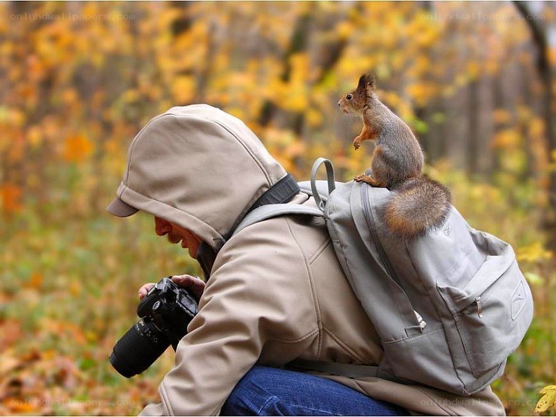 Squirrel on photographer's backpack