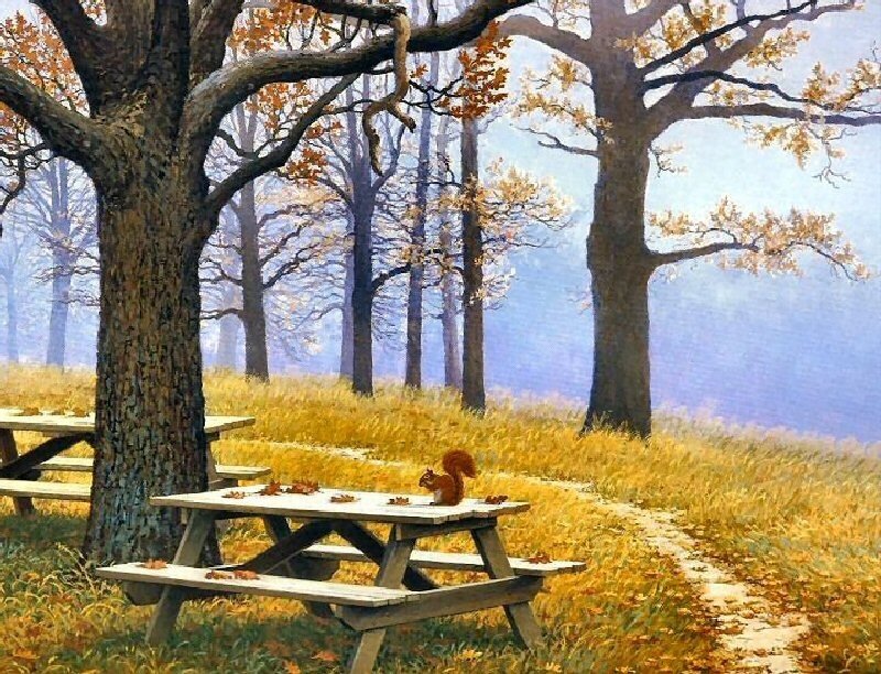 Squirrel on Picnic Table