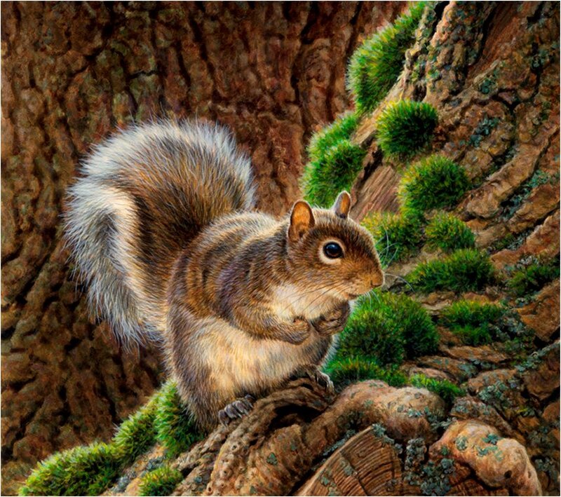 Squirrel on Tree Trunk — Brown, Natural, Painting