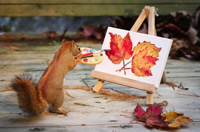 Squirrel Painting Leaves