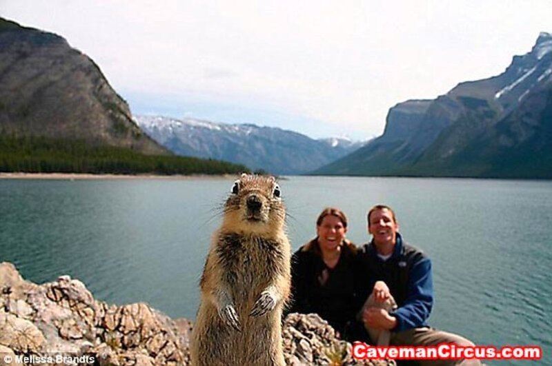Squirrel photobombing couple
