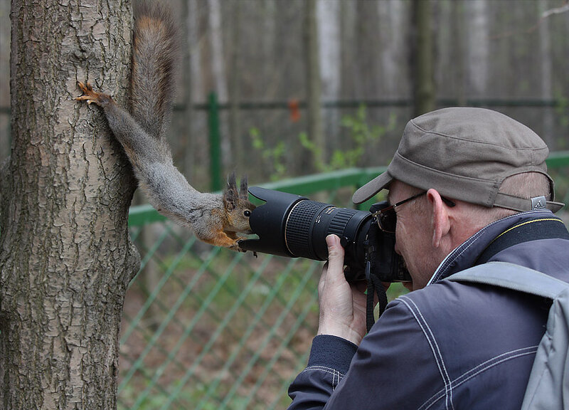 Squirrel Photographing Man