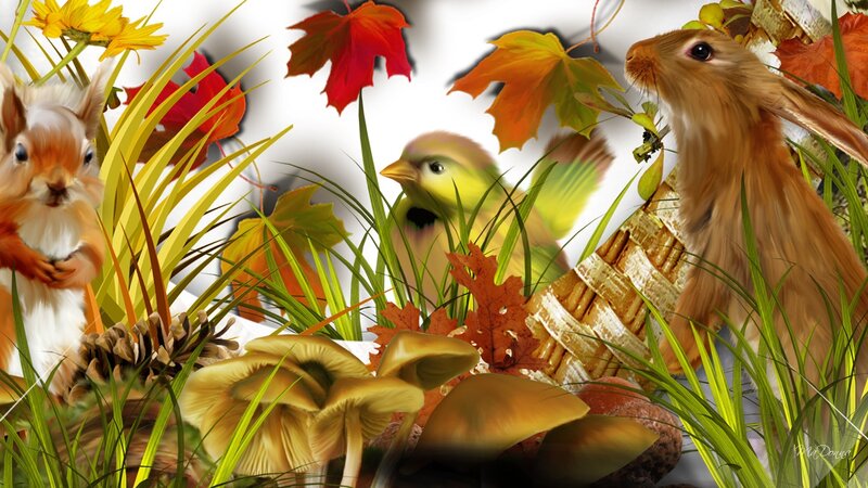 Squirrel Rabbit Bird