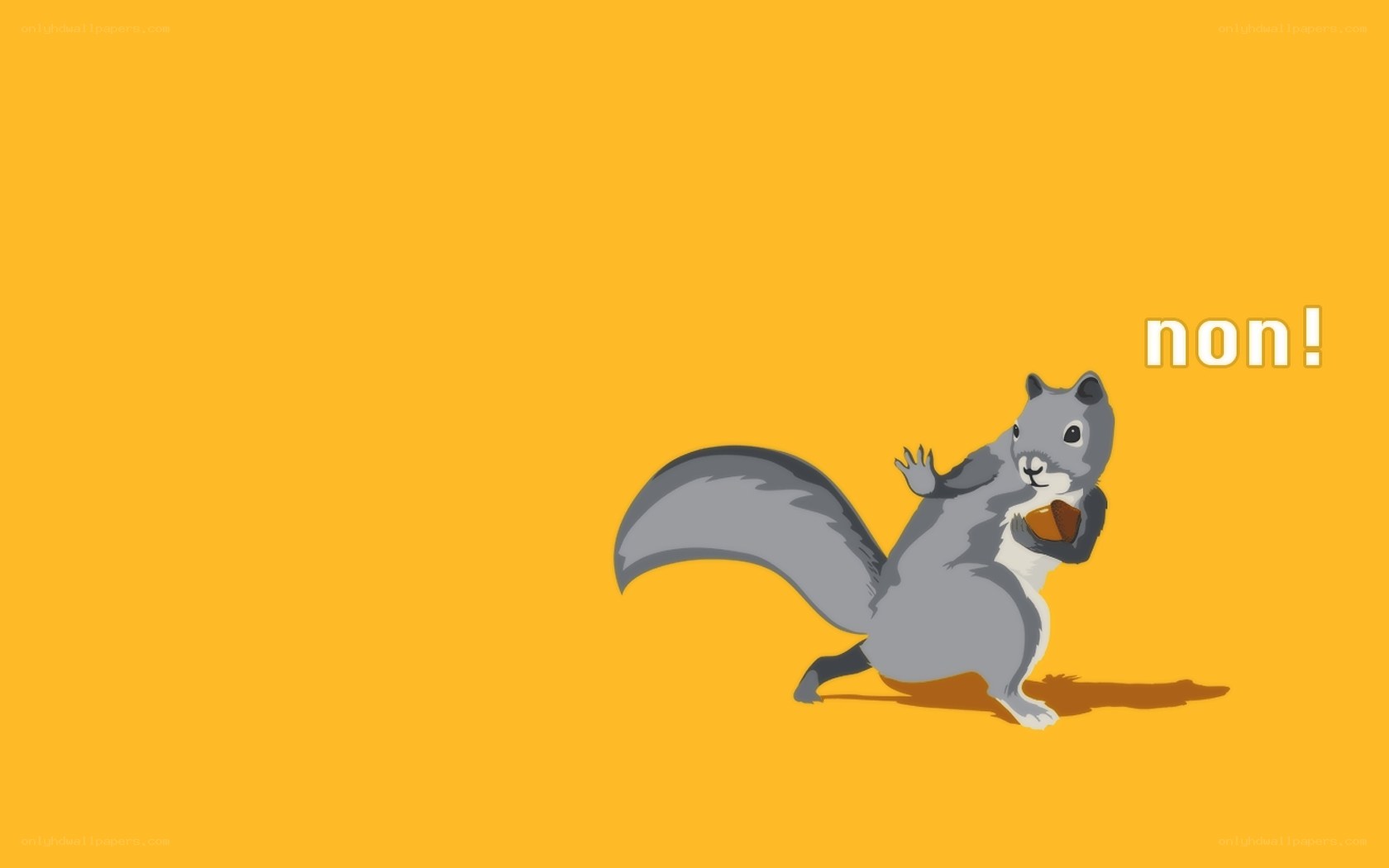 squirrel saying non